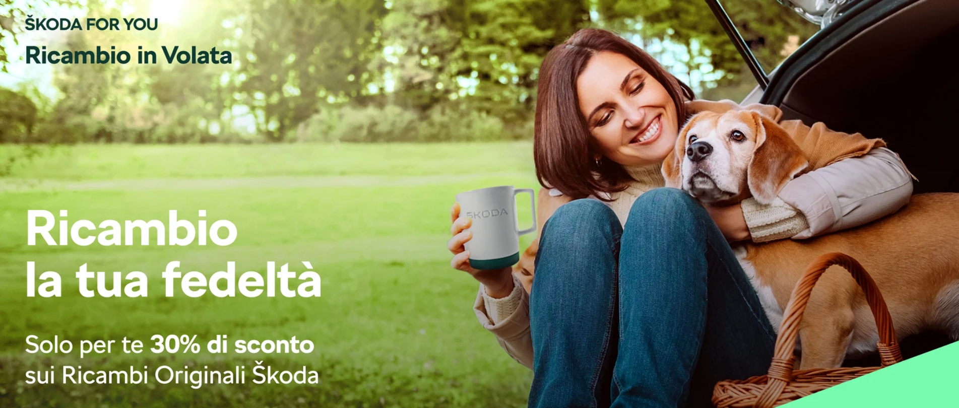 Ricambio In Volata Large