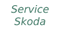 Service Skoda